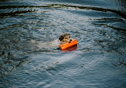 Julius-K9 Multidummie One Hand – Multifunctional Training Tug and Floating Water Toy