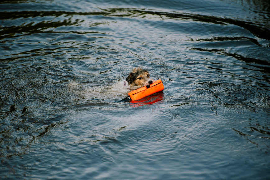 Julius-K9 Multidummie One Hand – Multifunctional Training Tug and Floating Water Toy