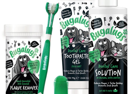 Bugalugs Dental Starter Kit – Complete Oral Hygiene Set with Toothbrush and Toothpaste