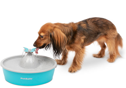 PetSafe Drinkwell Butterfly Water Fountain 1.5L – Quiet Flow Design with Decorative Top