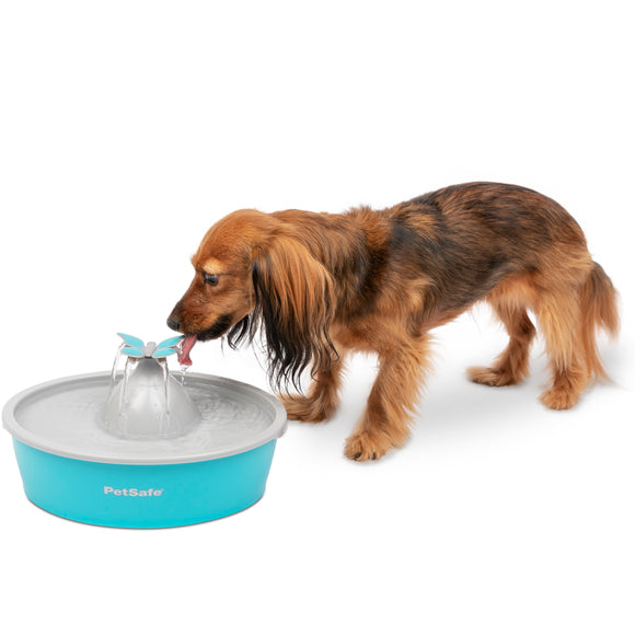 PetSafe Drinkwell Butterfly Water Fountain 1.5L – Quiet Flow Design with Decorative Top