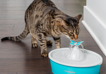 PetSafe Drinkwell Butterfly Water Fountain 1.5L – Quiet Flow Design with Decorative Top