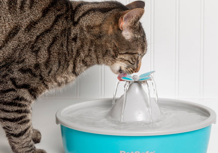 PetSafe Drinkwell Butterfly Water Fountain 1.5L – Quiet Flow Design with Decorative Top