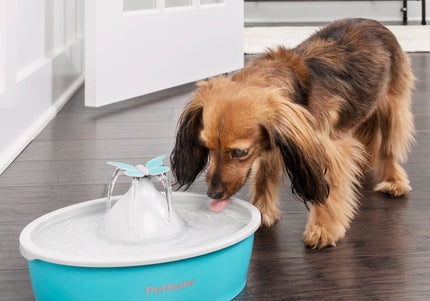 PetSafe Drinkwell Butterfly Water Fountain 1.5L – Quiet Flow Design with Decorative Top