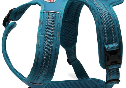 Record Action Alpi Harness Turquoise – Reflective, Extra-Large, Ergonomic Comfort Design