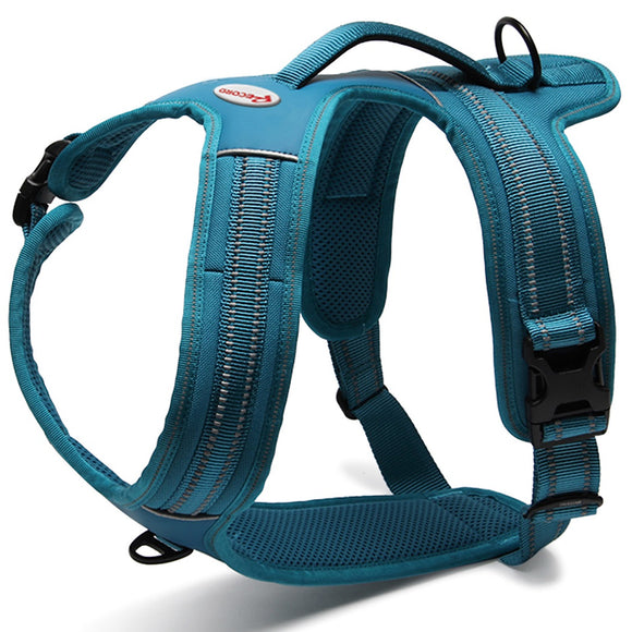 Record Action Alpi Harness Turquoise – Reflective, Extra-Large, Ergonomic Comfort Design