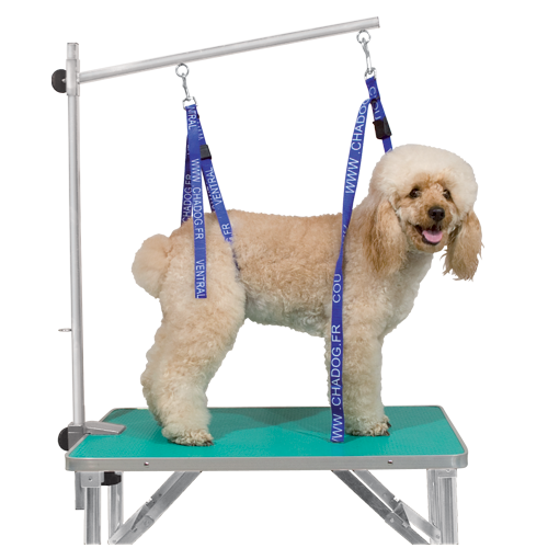 Chadog Adjustable Grooming Leash – Front Attachment, 2.5cm Wide, Secure Fit Design