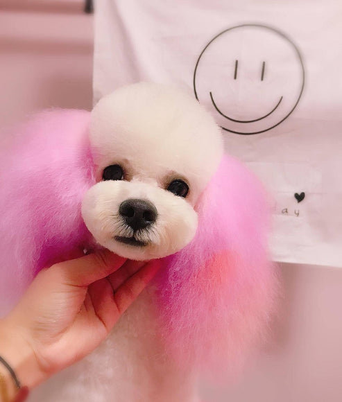 Yuup! Professional Cordless Airbrush – Lightweight Rechargeable Hair Coloring Tool with Precision Control