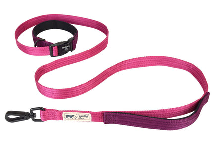 Hamilton Go Boldly Get Out & GO Nylon Leash – Adjustable 120-180cm, 25mm, Brown, Durable Design