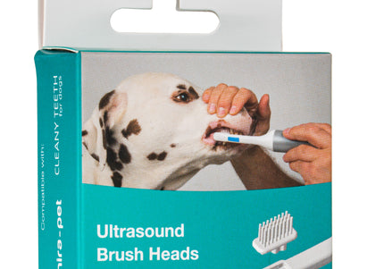 Cleany Teeth Ultrasound Brush Heads – Single-Sided Replacement Heads, 2 Pack, Precision Cleaning