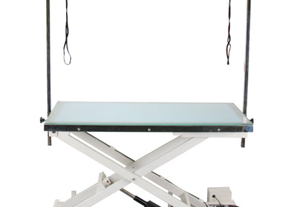 Blovi Luminous Grooming Table 120x65cm – Electric Lift, LED Glass Top, Professional Design