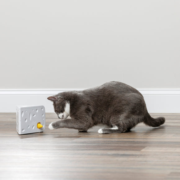PetSafe Cheese Automatic Cat Toy – Interactive Cheese Design with Moving Mice, Engaging Play