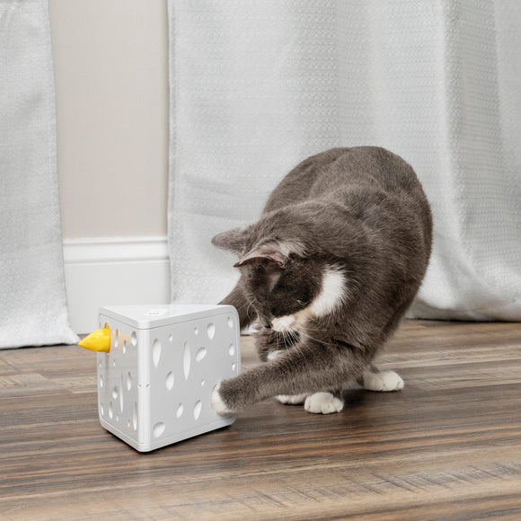 PetSafe Cheese Automatic Cat Toy – Interactive Cheese Design with Moving Mice, Engaging Play