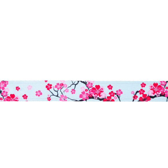 Max&Molly GOTCHA! Smart ID Cat Collar Cherry Bloom – Colorful Adjustable Collar with Smart Tag Technology