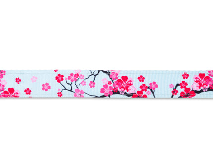 Max&Molly Cat Harness and Leash Set – Cherry Blossom Pattern, Adjustable, Comfortable Fit