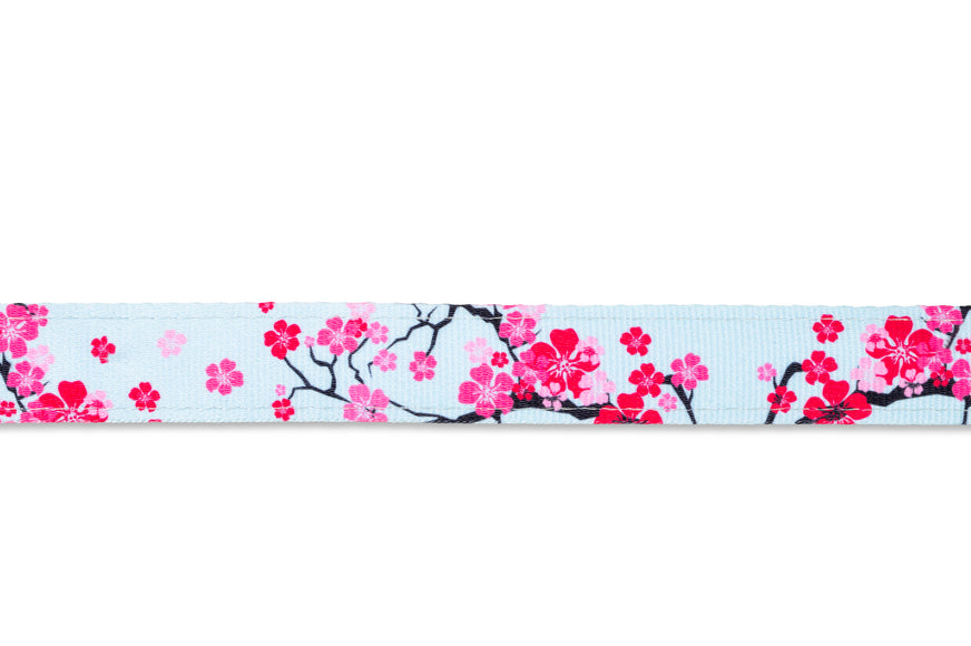 Max&Molly Cat Harness and Leash Set – Cherry Blossom Pattern, Adjustable, Comfortable Fit