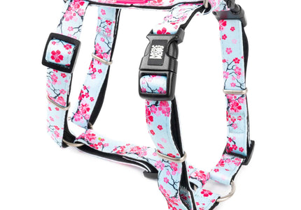 Max&Molly Cherry Bloom H-Harness – Colorful Adjustable Large Harness, Comfortable Design