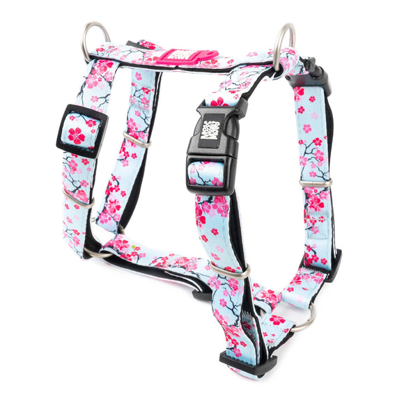Max&Molly Cherry Bloom H-Harness – Colorful Adjustable Large Harness, Comfortable Design