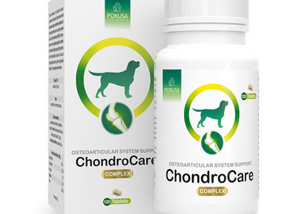 Pokusa ChondroCare Joint Support Tablets – Glucosamine, Chondroitin, Frankincense, 120 Count