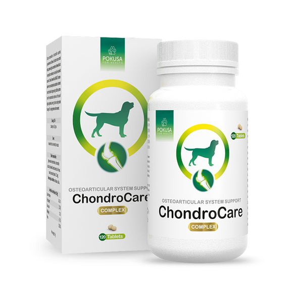 Pokusa ChondroCare Joint Support Tablets – Glucosamine, Chondroitin, Frankincense, 120 Count