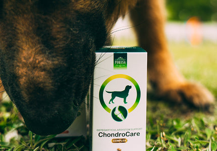 Pokusa ChondroCare Joint Support Tablets – Glucosamine, Chondroitin, Frankincense, 120 Count