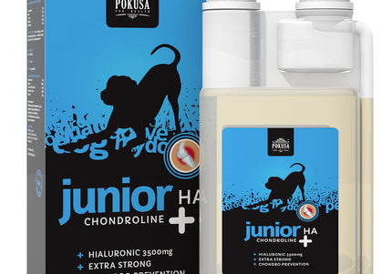 Pokusa ChondroLine Junior HA Liquid Supplement 500ml – Hyaluronic Acid Formula, Joint Support