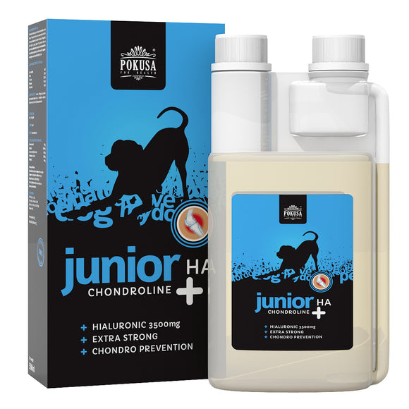 Pokusa ChondroLine Junior HA Liquid Supplement 500ml – Hyaluronic Acid Formula, Joint Support