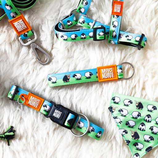 Max&Molly Woody The Sheep Plush Toy – Multifunctional 30cm Squeaker Sheep, Durable Design