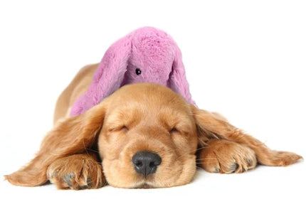 Holland Heartwarming Buddy Plush Bunny – Calming Dog Toy with Heartbeat Imitation, Brown