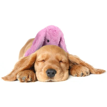 Holland Heartwarming Buddy Plush Bunny – Calming Dog Toy with Heartbeat Imitation, Brown