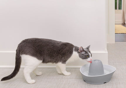 PetSafe Streamside Ceramic Pet Fountain 1.8L – Quiet Durable Water Dispenser with Easy-Clean Design