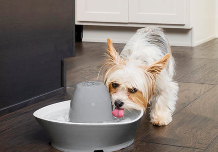 PetSafe Streamside Ceramic Pet Fountain 1.8L – Quiet Durable Water Dispenser with Easy-Clean Design