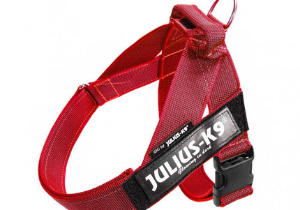 Julius-K9 IDC Color&Gray Belt Harness Red – Adjustable Mini-Mini Size, Durable Design