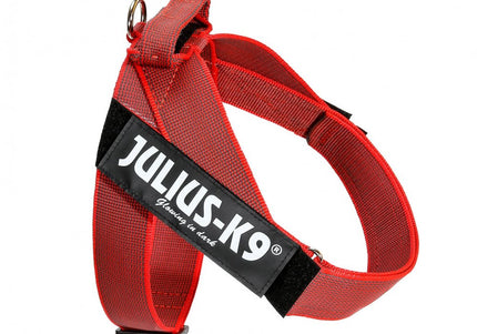 Julius-K9 IDC Color&Gray Belt Harness Red – Adjustable Mini-Mini Size, Durable Design