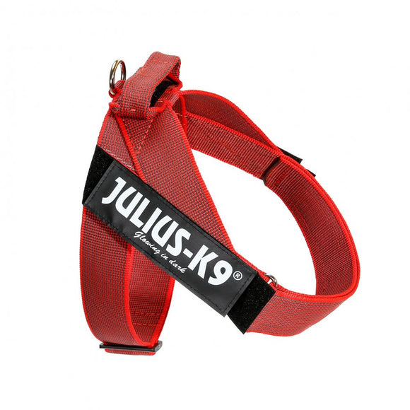 Julius-K9 IDC Color&Gray Belt Harness Red – Adjustable Mini-Mini Size, Durable Design