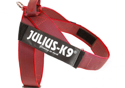 Julius-K9 IDC Color&Gray Belt Harness Red – Adjustable Mini-Mini Size, Durable Design