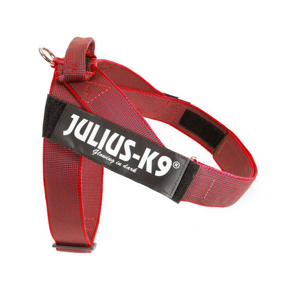 Julius-K9 IDC Color&Gray Belt Harness Red – Adjustable Mini-Mini Size, Durable Design