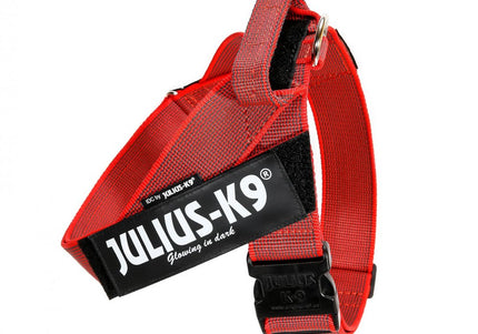 Julius-K9 IDC Color&Gray Belt Harness Red – Adjustable Mini-Mini Size, Durable Design