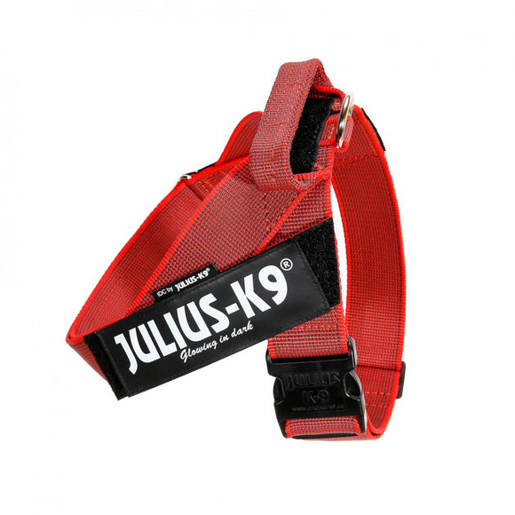 Julius-K9 IDC Color&Gray Belt Harness Red – Adjustable Mini-Mini Size, Durable Design