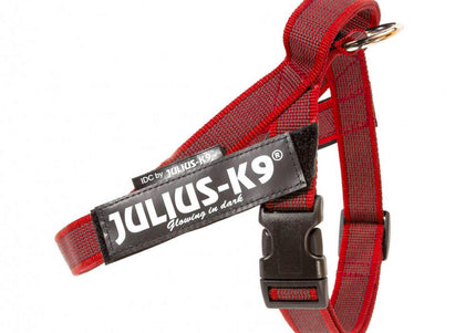 Julius-K9 IDC Color&Gray Belt Harness Red – Adjustable Mini-Mini Size, Durable Design