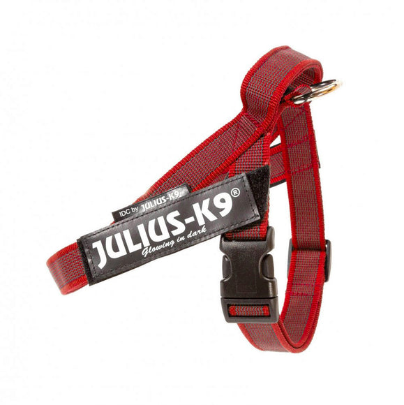 Julius-K9 IDC Color&Gray Belt Harness Red – Adjustable Mini-Mini Size, Durable Design