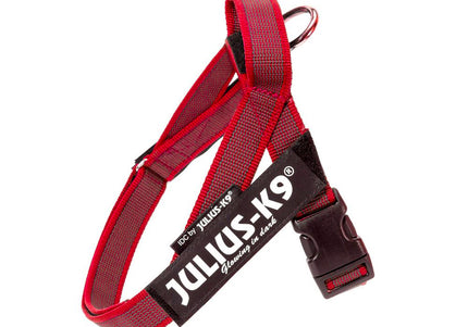 Julius-K9 IDC Color&Gray Belt Harness Red – Adjustable Mini-Mini Size, Durable Design