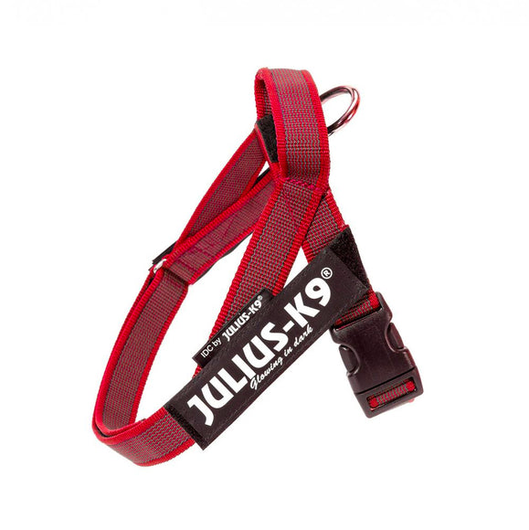 Julius-K9 IDC Color&Gray Belt Harness Red – Adjustable Mini-Mini Size, Durable Design
