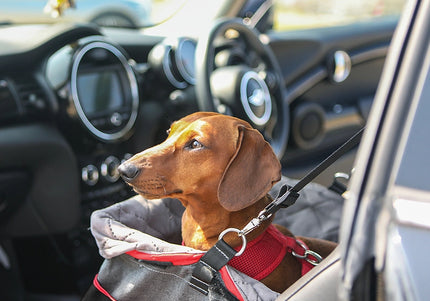 KONG Travel Secure Booster Seat – Elevated Car Seat, 40x30x20cm, Holds Up to 12kg