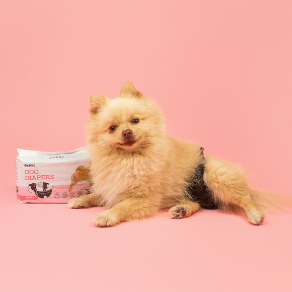 Dashi Dog Diapers Black Large – Comfortable Leak-Proof Disposable Pampers, 12 Pack