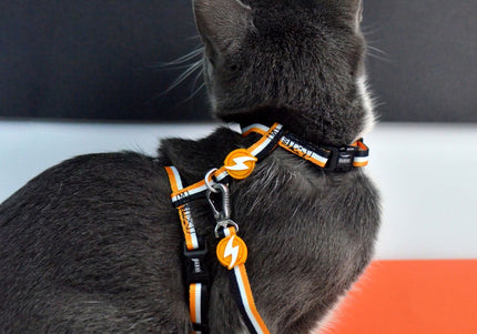 Dashi Stripes Orange & Black Cat Harness and Leash Set – Adjustable, Durable Design