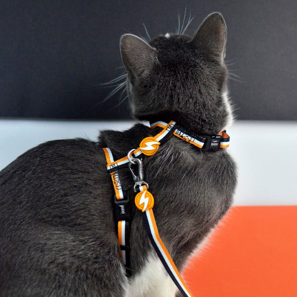 Dashi Stripes Orange & Black Cat Harness and Leash Set – Adjustable, Durable Design