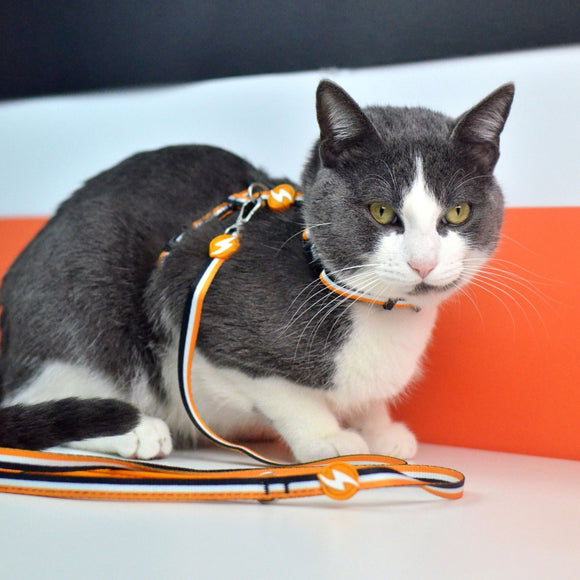 Dashi Stripes Orange & Black Cat Harness and Leash Set – Adjustable, Durable Design