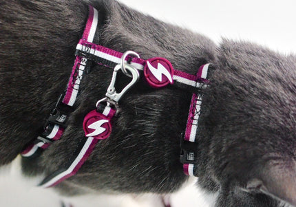 Dashi Stripes Purple & Black Cat Harness and Leash Set – Adjustable, Stylish Striped Design