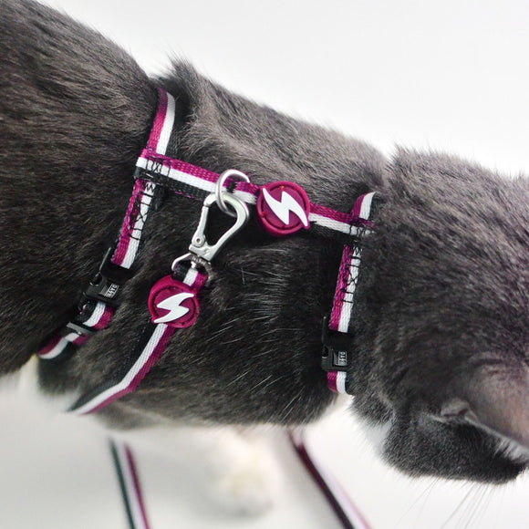 Dashi Stripes Purple & Black Cat Harness and Leash Set – Adjustable, Stylish Striped Design